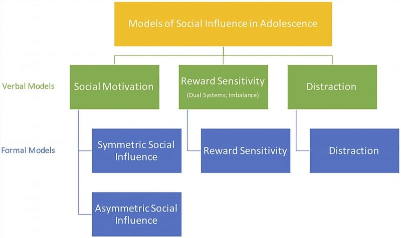 Peer Pressure and Societal Influences