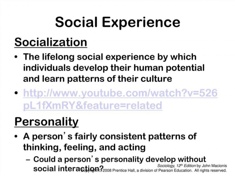 The Social Experience